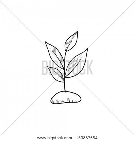 450x470 Sprout Vector Sketch Icon Isolated Vector Amp Photo Bigstock