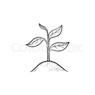 320x320 Sprout Vector Sketch Icon Isolated On Background. Hand Drawn