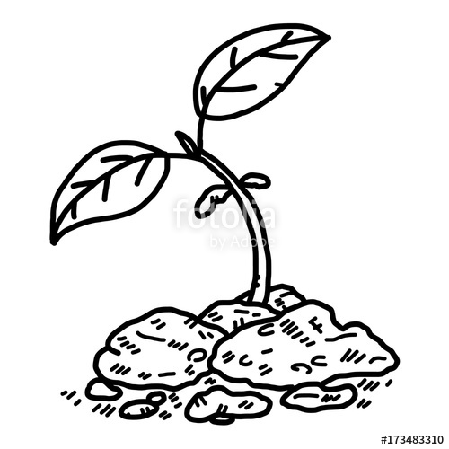 500x500 Plant Sprout Cartoon Vector And Illustration, Black And White
