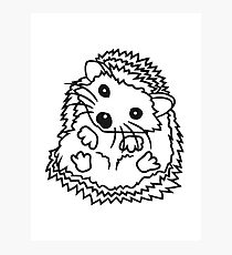 210x230 Spur Drawing Wall Art Redbubble