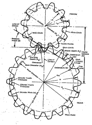 299x404 Image002.gif