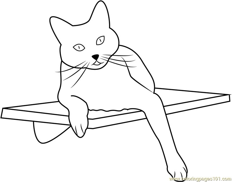 800x628 Square Cat Habitat Coloring Page