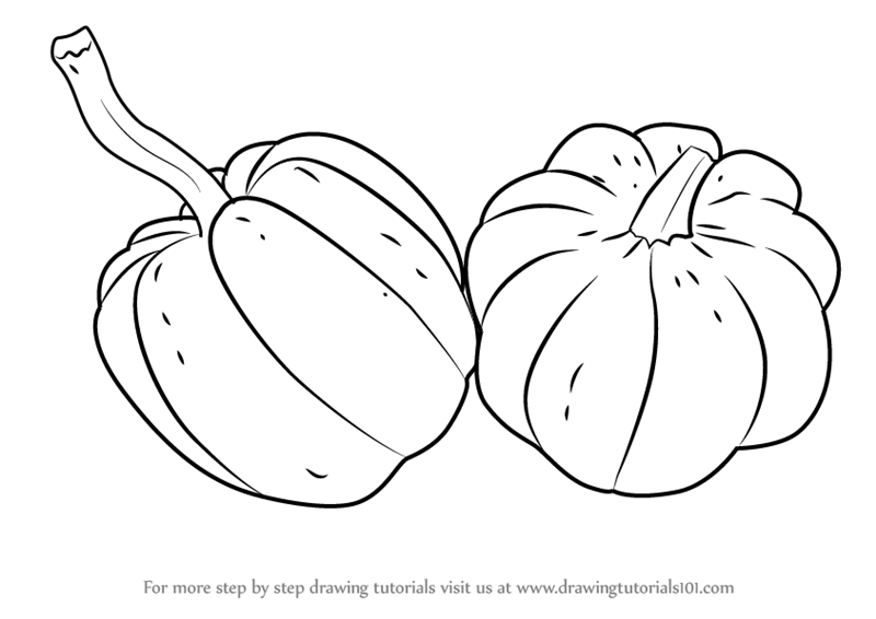 800x566 Learn How To Draw A Pumpkins (Fruits) Step By Step Drawing Tutorials