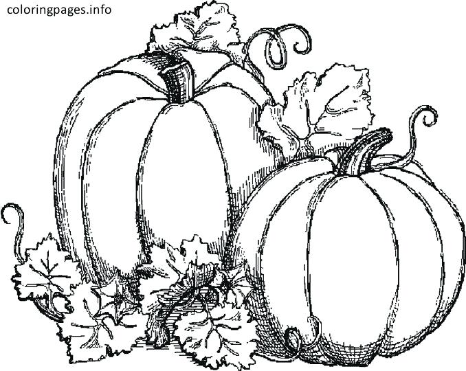 678x540 Pumpkin Drawing How To Draw A Pumpkin Step 5 Drawing Pumpkin Faces