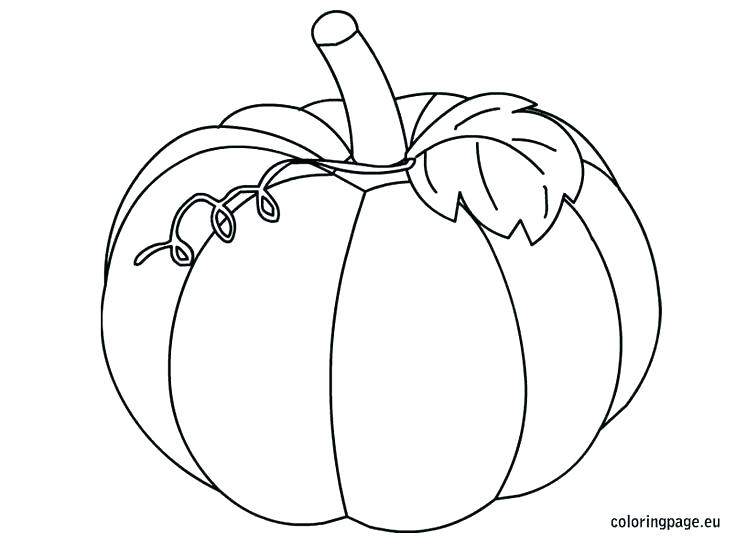 Butternut Squash Coloring Sketch Coloring Page