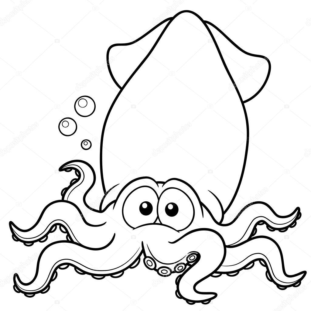1024x1024 Squid Cartoon Stock Vector Sararoom