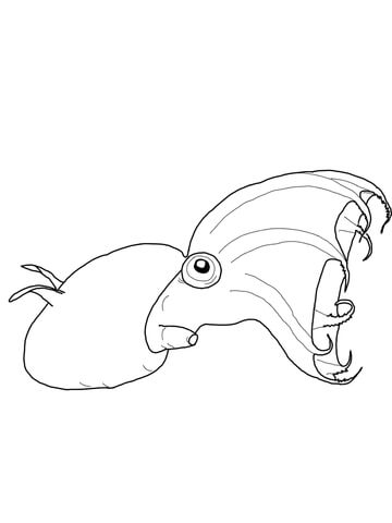 360x480 Vampire Squid Coloring Page Free Printable Coloring Pages