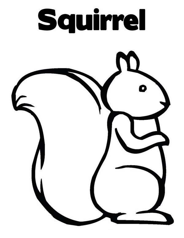 600x776 Drawing A Squirrel Coloring Page