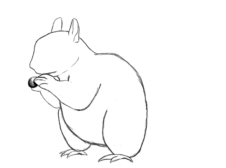 780x581 How To Draw A Squirrel