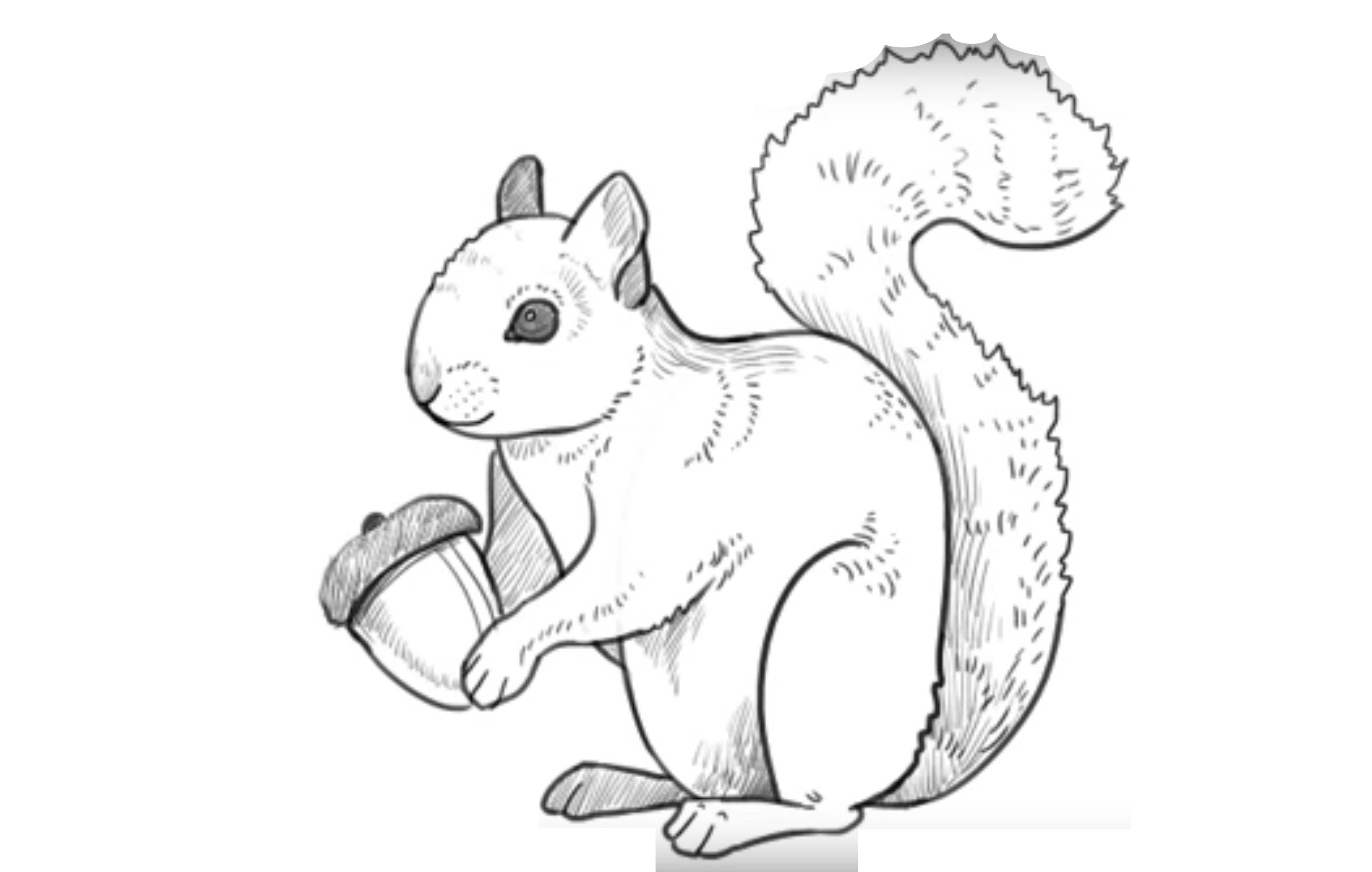 3066x1948 Pk Draw How To Draw