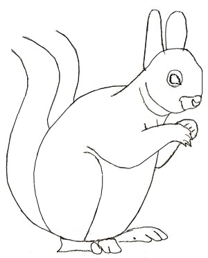 300x371 How To Draw A Squirrel