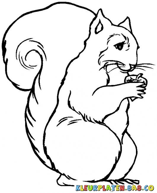 530x652 Urime 28 Nentori, Back Gt Gallery For Gt 28 Nentori