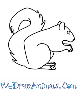 300x350 How To Draw A Squirrel