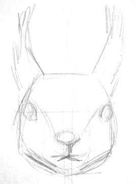 270x364 How To Draw A Squirrel Face