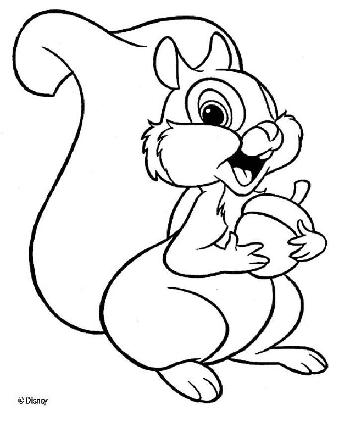 692x850 Squirrel Coloring Pages, Drawing For Kids, Videos For Kids