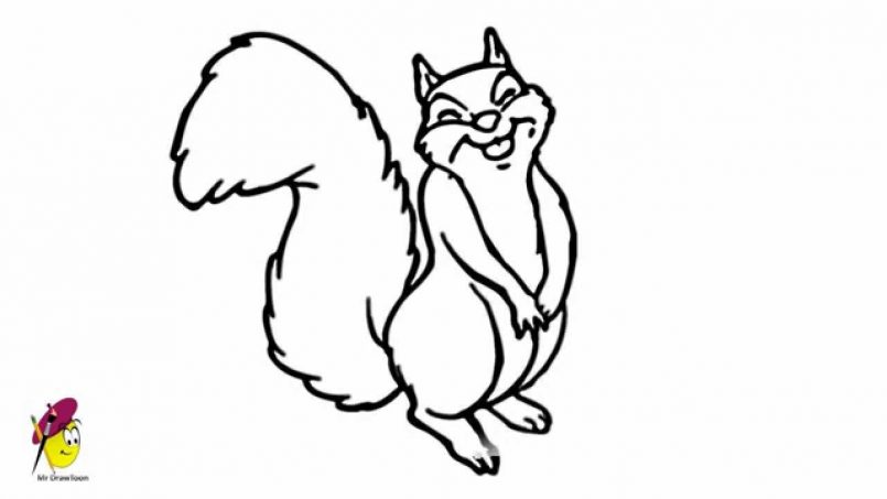 805x453 Drawing How To Draw A Cartoon Squirrel Step By Step Easy