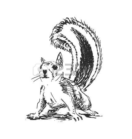 428x450 Gray Squirrel Clipart Hand Drawn