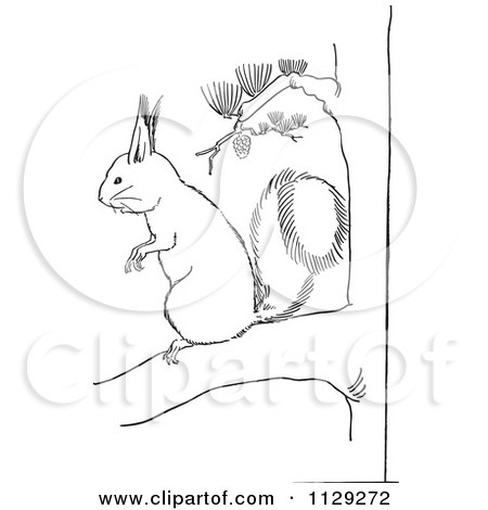450x470 Cartoon Clipart Of An Outlined Squirrel On A Pine Tree Branch