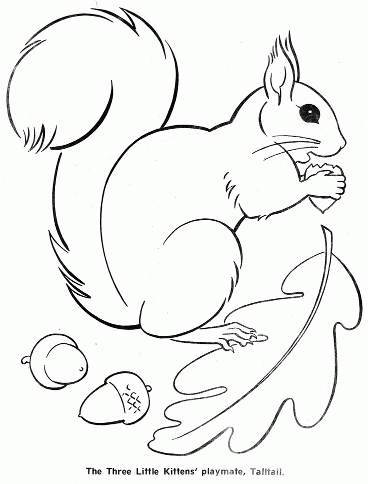 736x967 Squirrel Template 313672