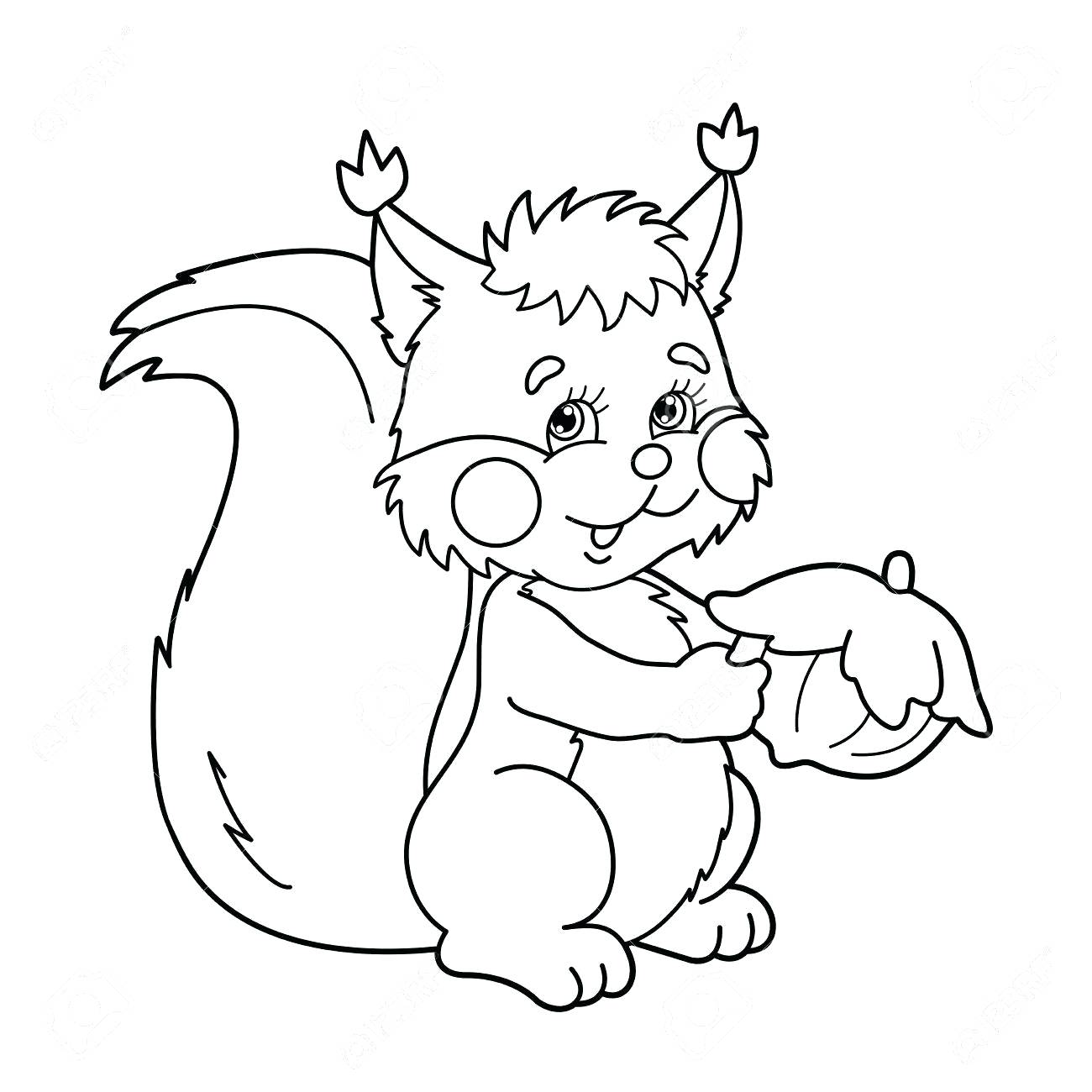 1300x1300 Coloring Coloring Page Of A Squirrel