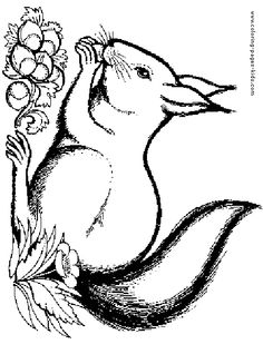 236x309 Squirrel Climbing Tree Coloring Page Animals I Love