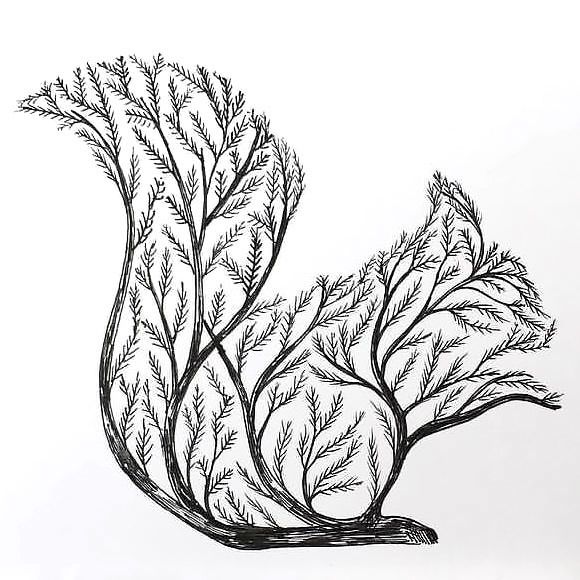 580x580 Squirrel Tree Tattoo Design Tree Tattoo Designs, Tattoo Designs