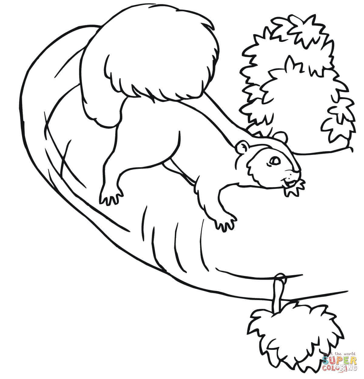 1200x1248 Squirrel On A Tree Coloring Page Free Printable Coloring Pages