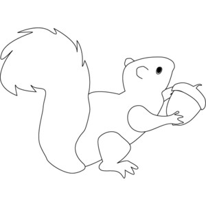 300x300 Trendy Idea Squirrel Outline Coloring Page Free Printable Pages