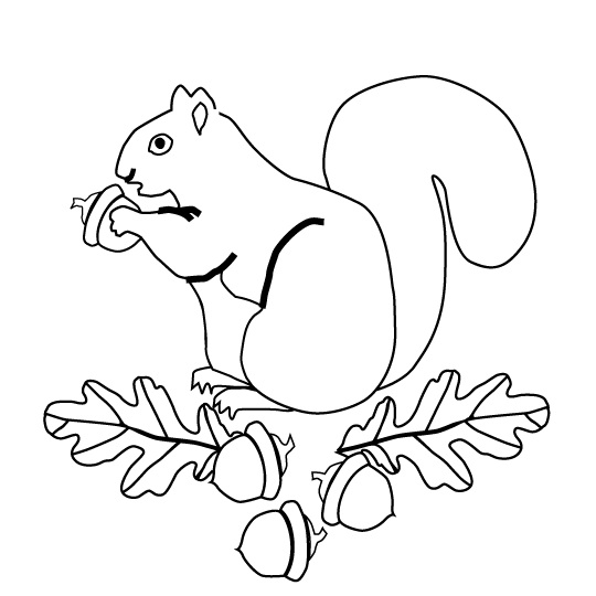540x540 Squirrel Outline Quilty Templates Amp Printables