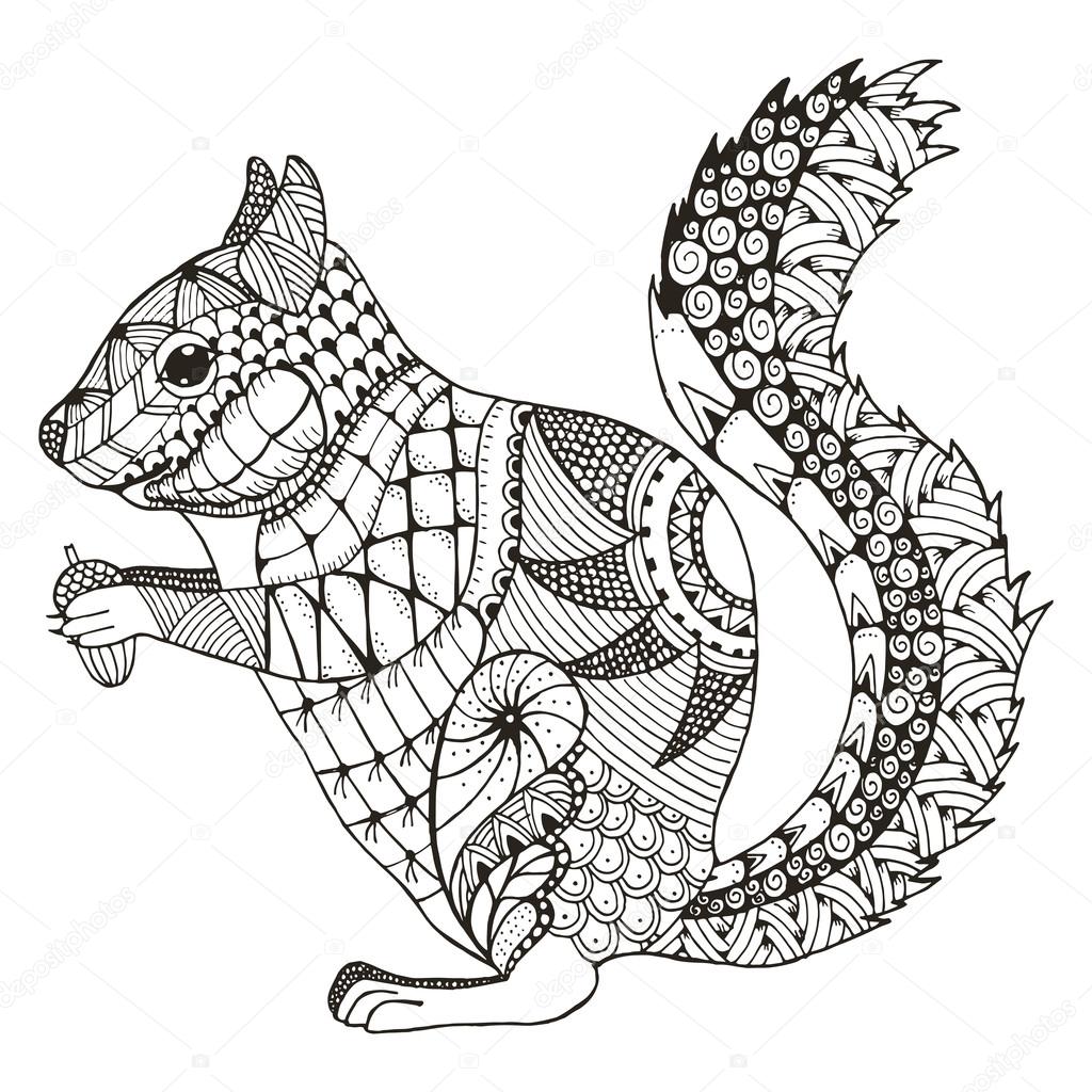 1024x1024 Squirrel Stock Vectors, Royalty Free Squirrel Illustrations