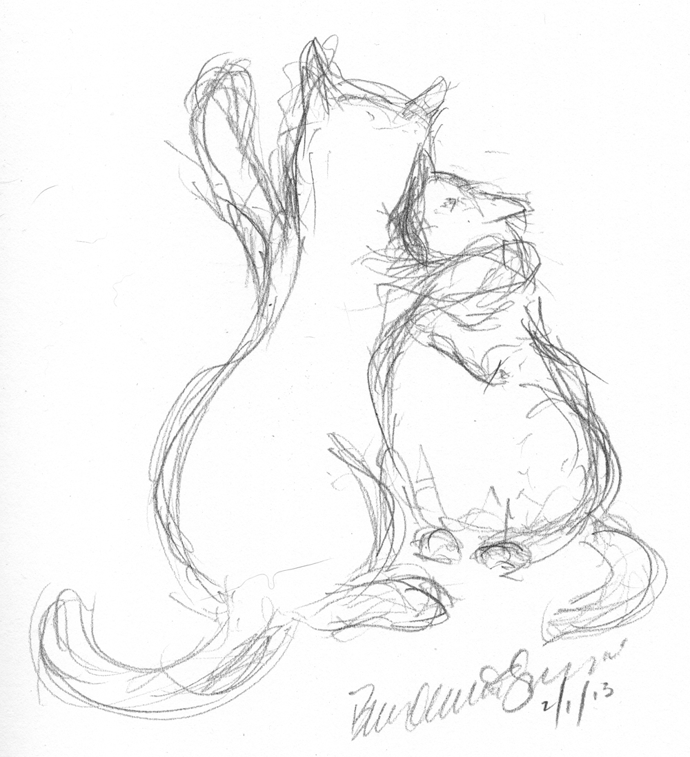 1000x1098 Pencil Sketch Archives ~ The Creative Cat