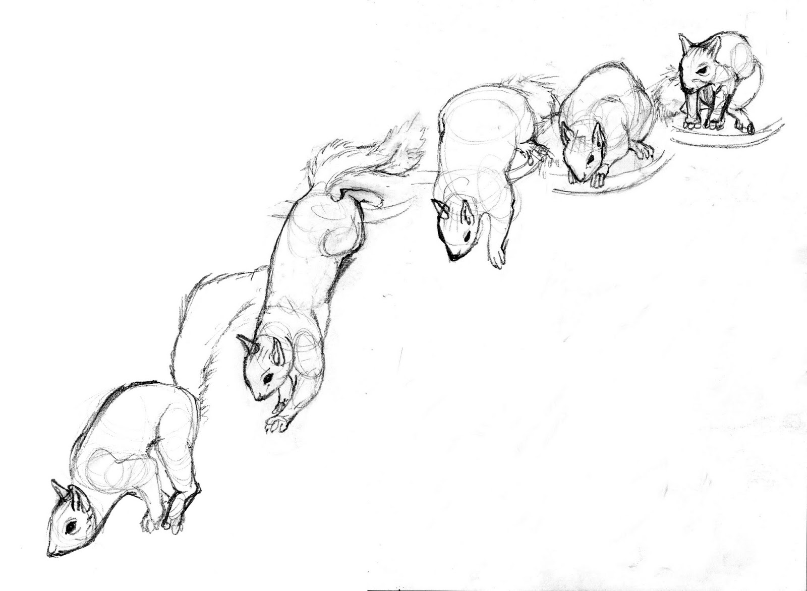 1600x1172 Sketchbook]