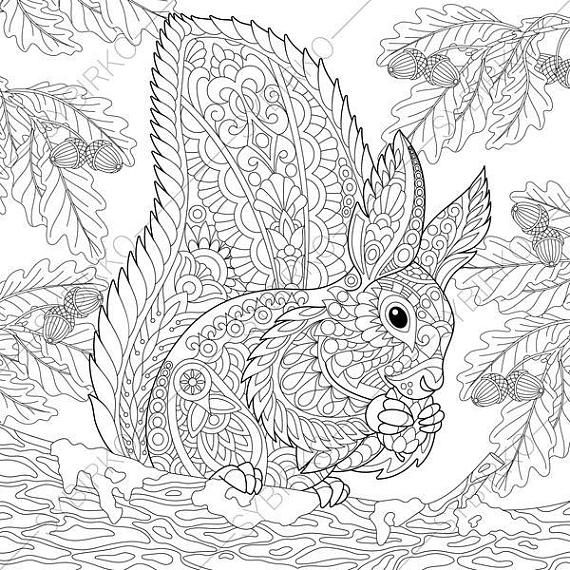 570x570 Adult Coloring Pages. Squirrel. Zentangle Doodle Coloring Book