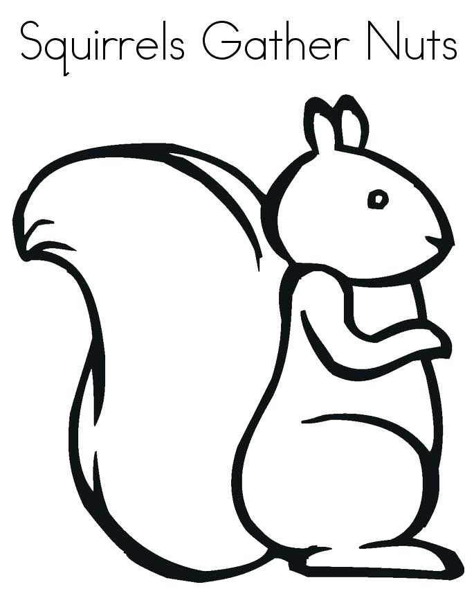 685x886 Coloring Pages Of Squirrels Drawing A Squirrel Coloring Page