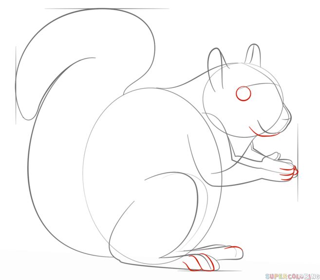 657x575 Drawing How To Draw Funny Cartoon Squirrel Plus How To Draw