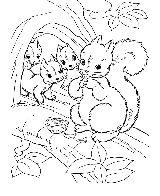 670x820 Drawings Of Squirrels