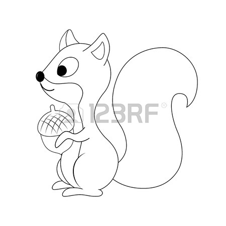 450x450 Black White Squirrel Stock Photos. Royalty Free Black