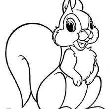 220x220 Squirrel Coloring Pages, Drawing For Kids, Videos For Kids