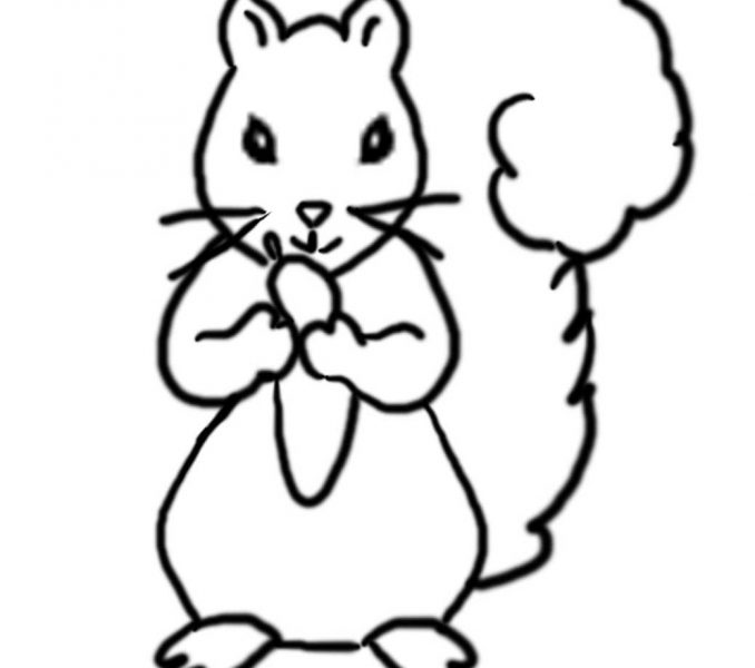 678x600 Squirrel Pictures For Kids Kids Coloring