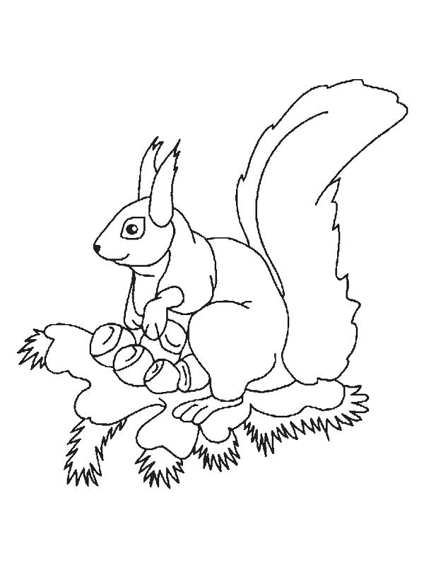 600x800 Squirrels Coloring Page 15