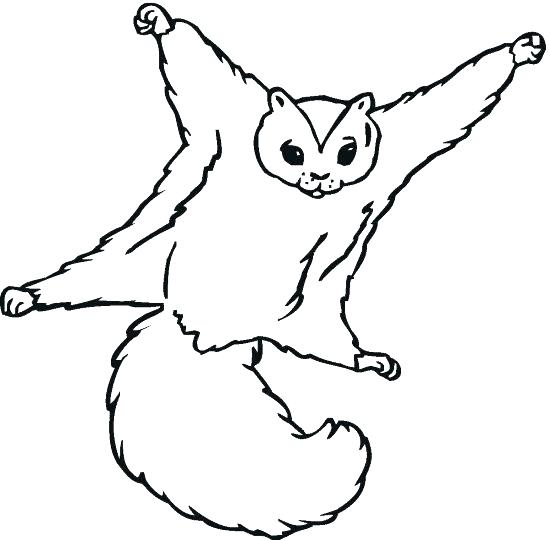 550x540 Coloring Pages Of Squirrels Omnitutor.co