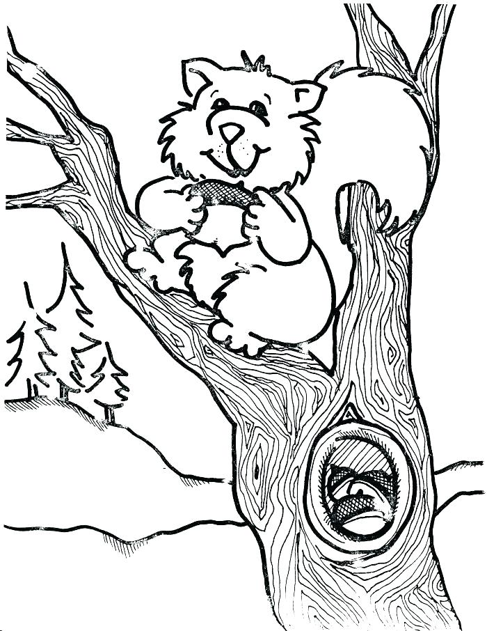 700x906 Coloring Pages Of Squirrels Coloring Pages Of Squirrels Pictures