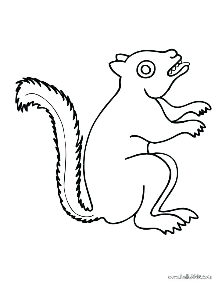 728x941 Coloring Pages Of Squirrels Coloring Pages Of Squirrels Squirrel