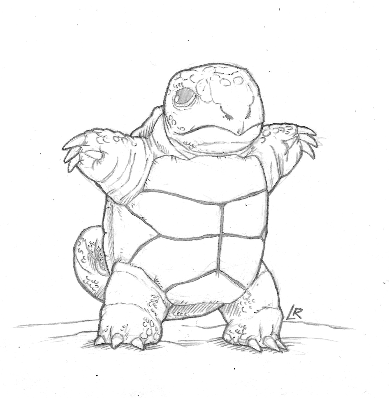 1552x1586 Squirtle