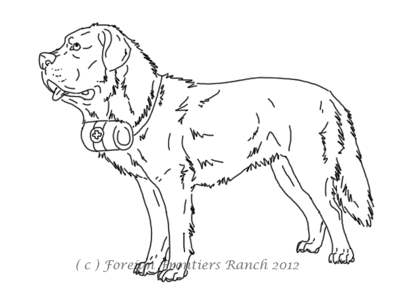 575x444 Free St Bernard Lineart By Foreignfrontierranch