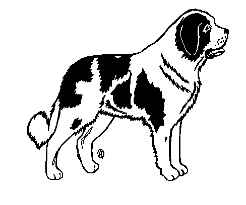 488x408 Order A Personalized Pet Memorial Stone