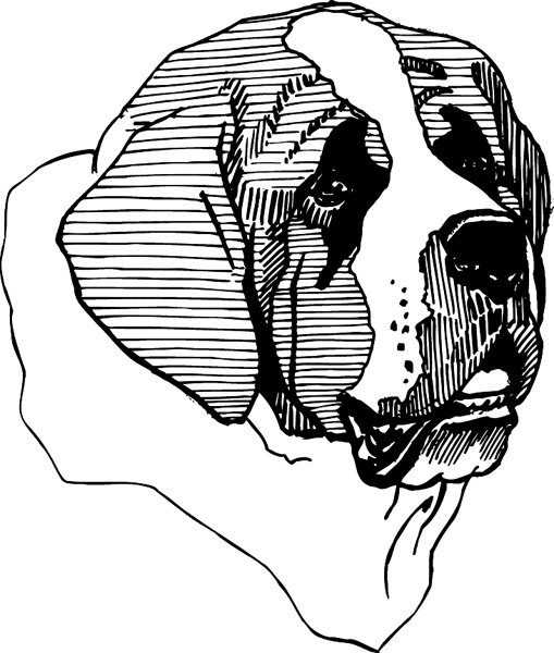 509x600 General Decals