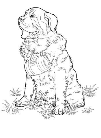 350x480 St. Bernard Dog Coloring Page Free Printable Coloring Pages