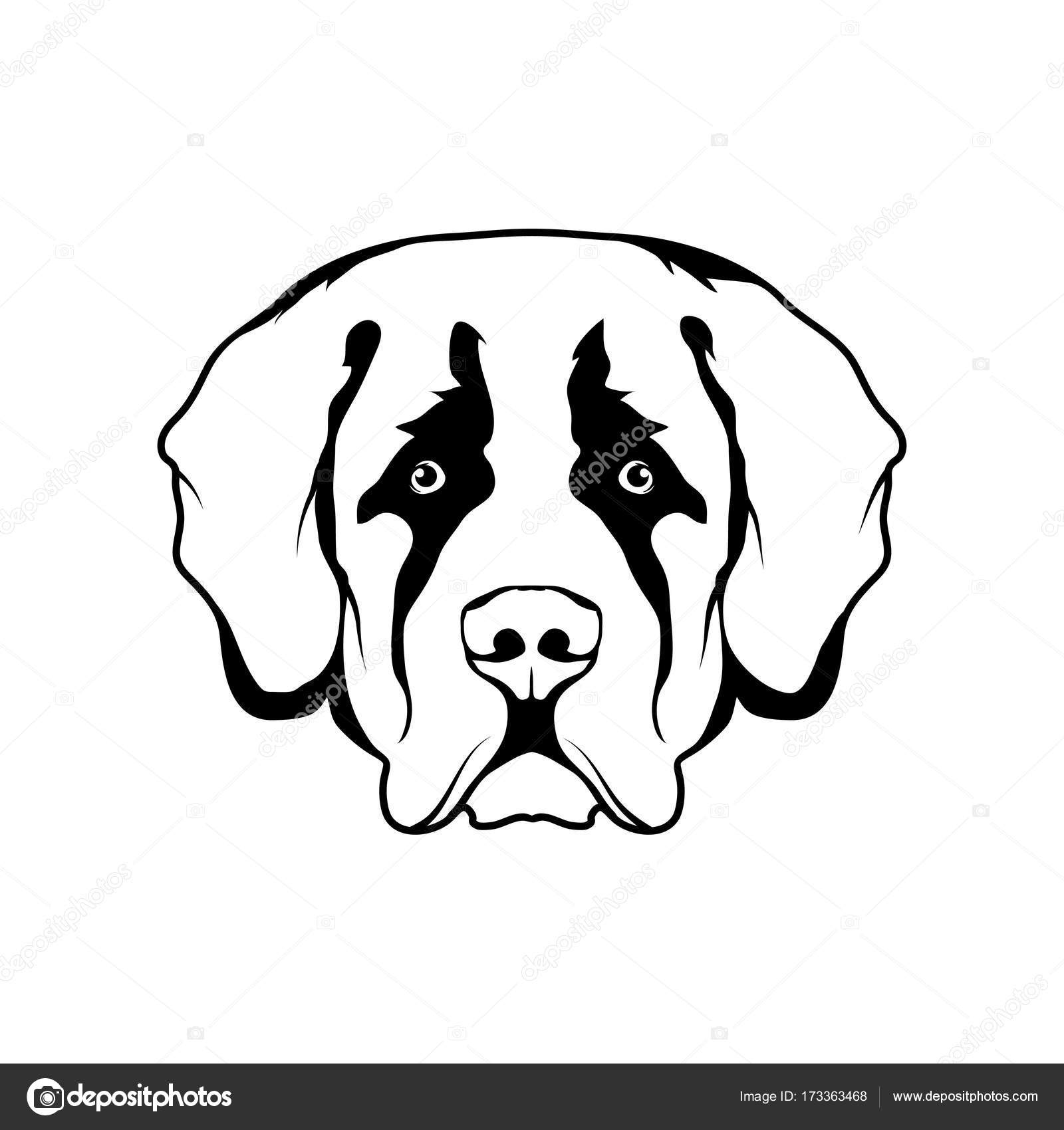 1600x1700 St. Bernard Dog Logo Stock Vector