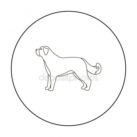450x450 St. Bernard Dog Vector Icon In Outline Style For Web Stock